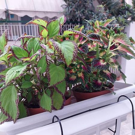 Athens Lovio Apartment Екстер'єр фото